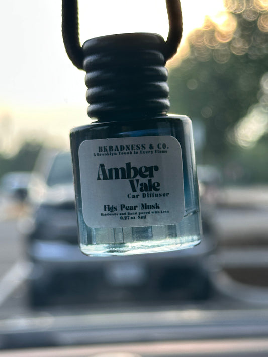 Car diffuser