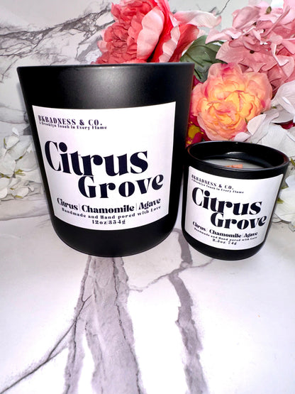 Citrus Grove Candle Bkbadness & Co.