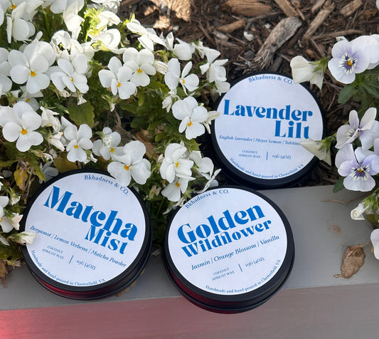 Discovery Box | Spring Collection